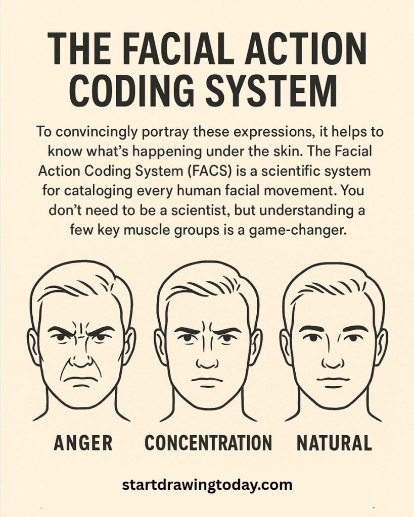 how to draw emotions, , Facial Action Coding System