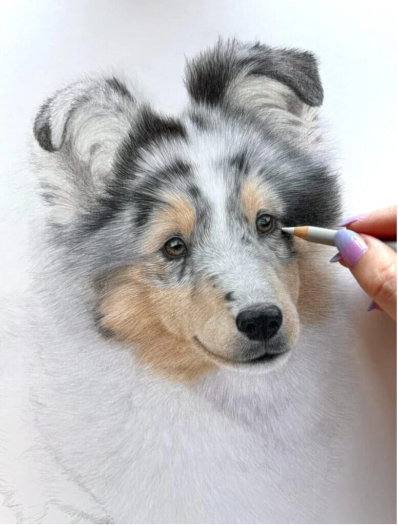 how to draw realistic animals with colored pencils, Katie's dog